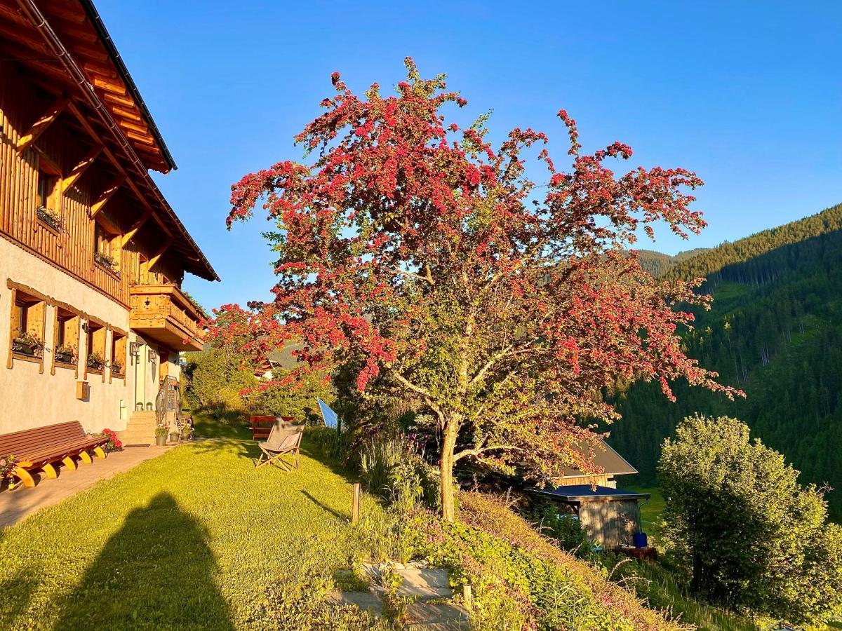 Alm Seasons Premium Chalet & Studios Saalbach-Hinterglemm Extérieur photo