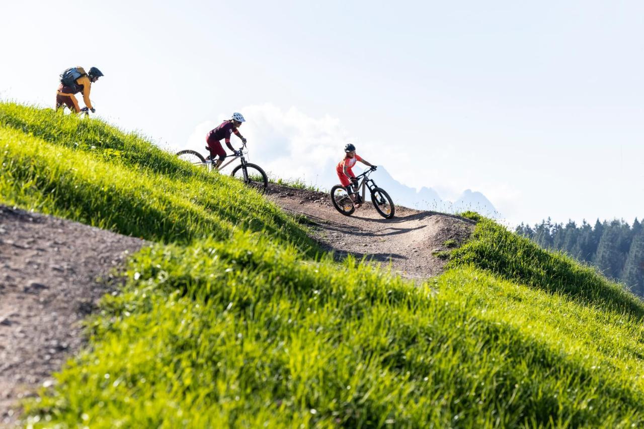 Alm Seasons Premium Chalet & Studios Saalbach-Hinterglemm Extérieur photo