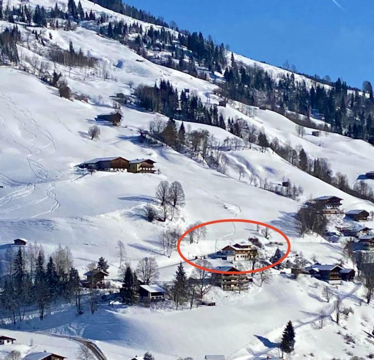 Alm Seasons Premium Chalet & Studios Saalbach-Hinterglemm Extérieur photo