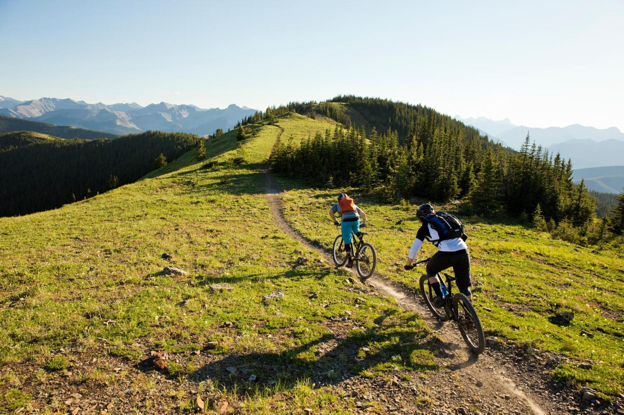 Alm Seasons Premium Chalet & Studios Saalbach-Hinterglemm Extérieur photo